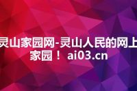 灵山家园网-灵山人民的网上家园！ ai03.cn