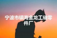 宁波市镇海金龙工缝零件厂