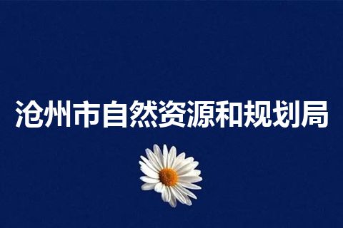 沧州市自然资源和规划局
