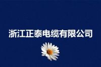 浙江正泰电缆有限公司