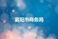襄阳市商务局