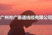 广州市广惠通线缆有限公司