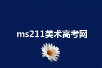 ms211美术高考网