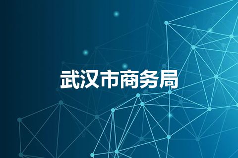武汉市商务局