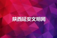 陕西延安文明网