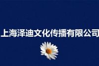 上海泽迪文化传播有限公司