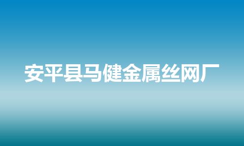 安平县马健金属丝网厂