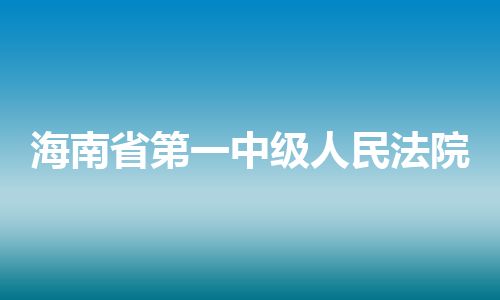海南省第一中级人民法院