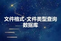 文件格式-文件类型查询数据库