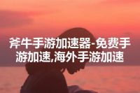斧牛手游加速器-免费手游加速,海外手游加速
