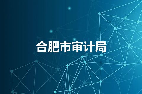 合肥市审计局
