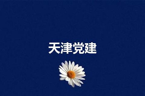 天津党建