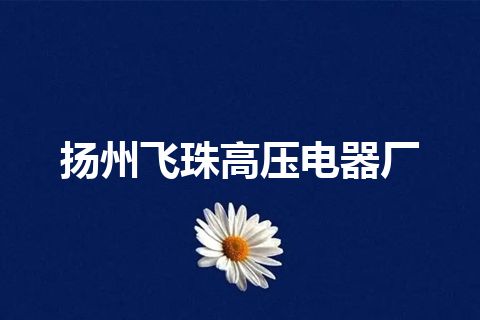 扬州飞珠高压电器厂