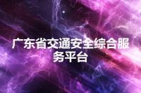 广东省交通安全综合服务平台