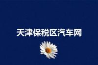 天津保税区汽车网