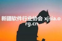 新疆软件行业协会 xjsia.org.cn
