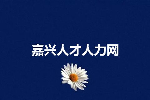 嘉兴人才人力网