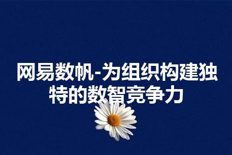 网易数帆-为组织构建独特的数智竞争力