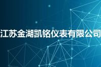 江苏金湖凯铭仪表有限公司