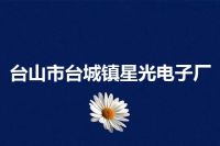 台山市台城镇星光电子厂