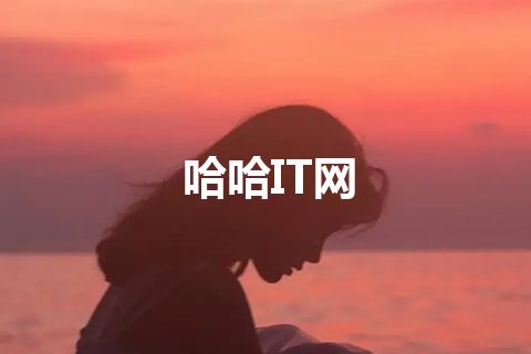 哈哈IT网