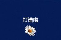 打谱啦