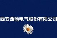 西安西驰电气股份有限公司