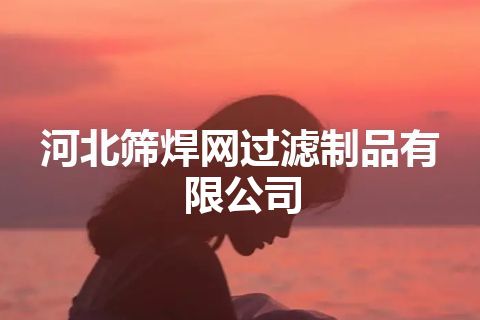 河北筛焊网过滤制品有限公司