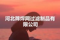 河北筛焊网过滤制品有限公司