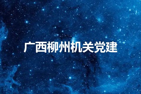 广西柳州机关党建