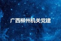 广西柳州机关党建
