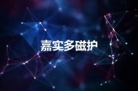 嘉实多磁护