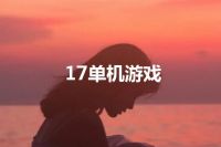 17单机游戏