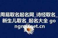 周易取名起名网_诗经取名_新生儿取名_起名大全 gongmu.net.cn