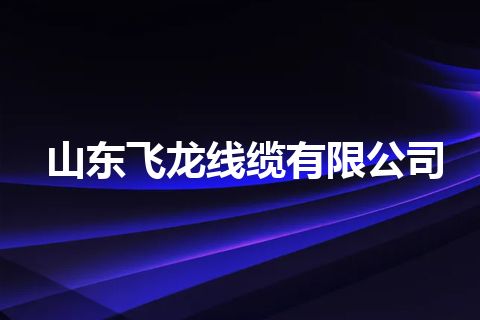 山东飞龙线缆有限公司