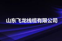 山东飞龙线缆有限公司