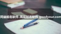同益起名软件-周易起名软件 goodyour.com