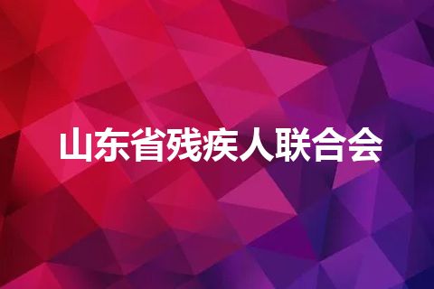山东省残疾人联合会