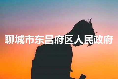 聊城市东昌府区人民政府