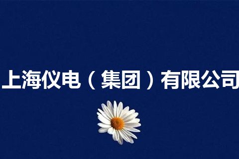 上海仪电(集团)有限公司 上海仪电(集团)有限公司
