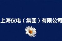 上海仪电（集团）有限公司