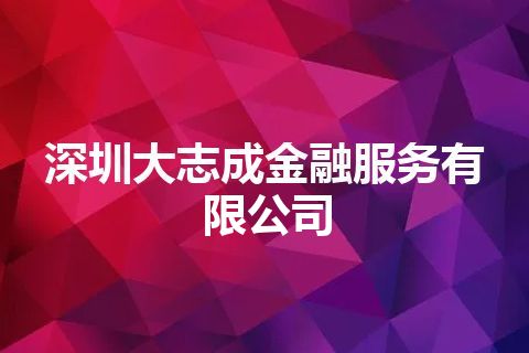深圳大志成金融服务有限公司