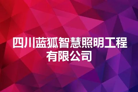 四川蓝狐智慧照明工程有限公司