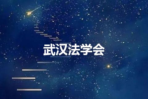 武汉法学会