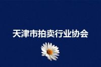天津市拍卖行业协会