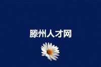 滕州人才网