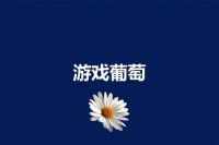 游戏葡萄
