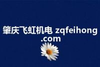 肇庆飞虹机电 zqfeihong.com