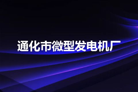 通化市微型发电机厂