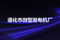 通化市微型发电机厂